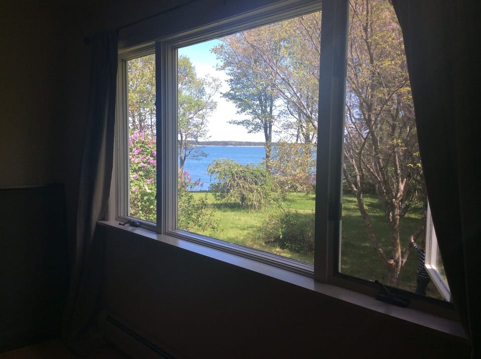 View from master bedroom of ocean and ornamental trees