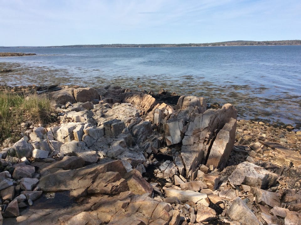 Rocky coastline is perfect for exploring the intertidal zone.
