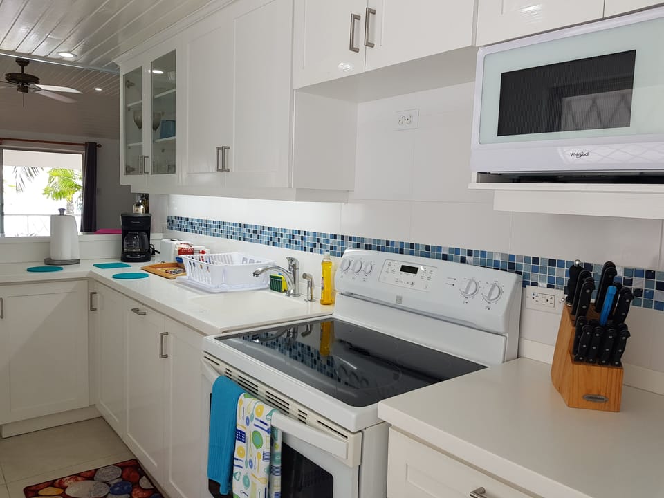 Galley kitchen with electric stove, microwave and large fridge