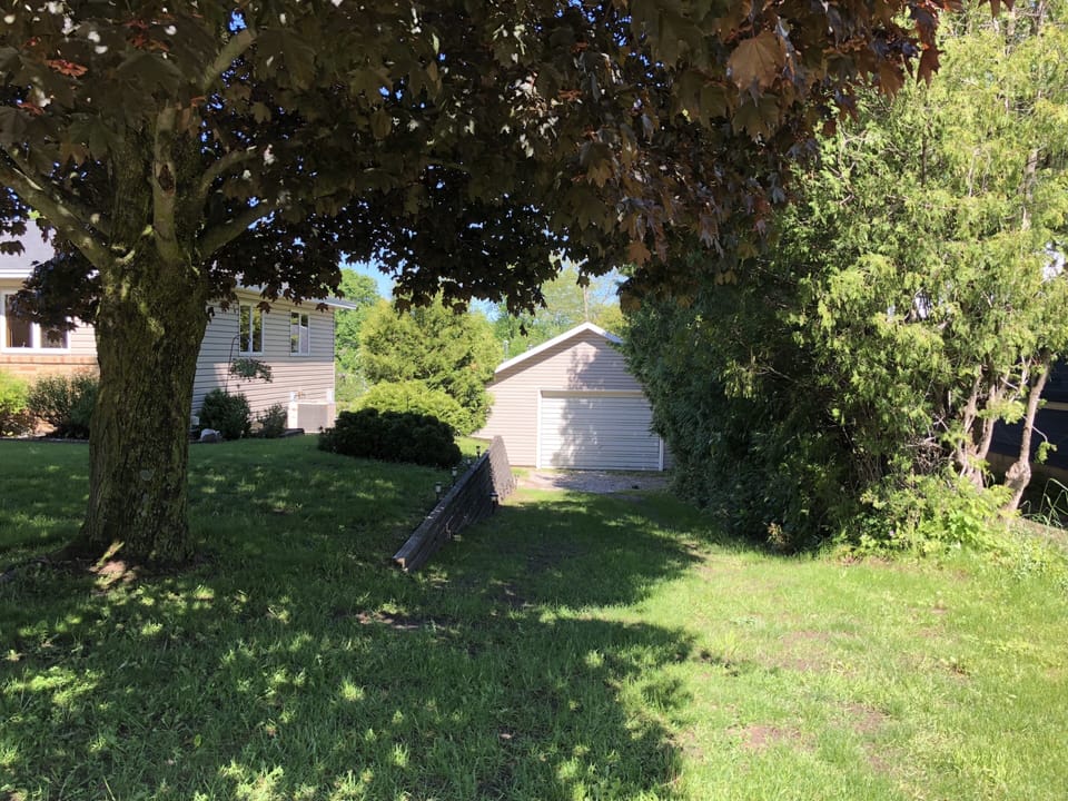Stroll down the grass driveway on the south side of our property.