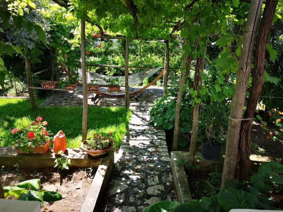 Entrance to the garden