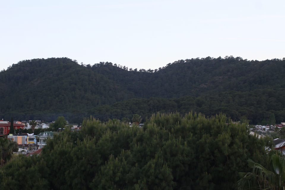 Mountain view