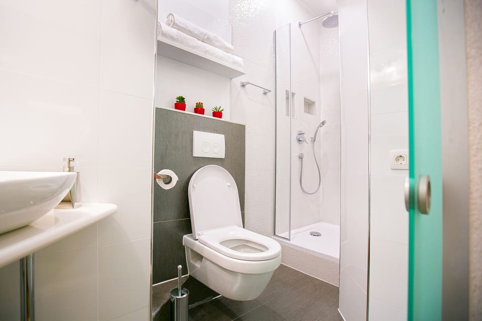 Exclusive Apartment, City View | Bathroom | Shower, hair dryer, slippers, bidet