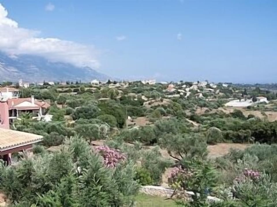Views of surrounding area