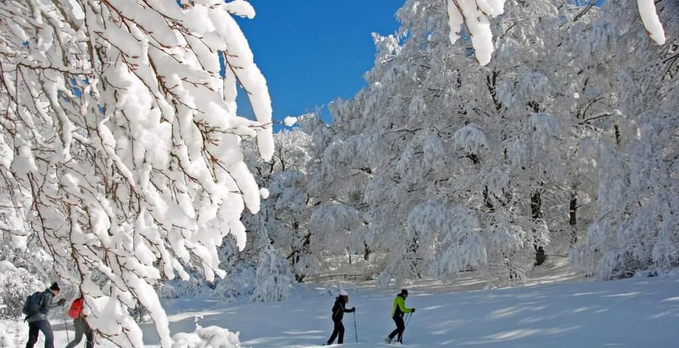 Snow and ski sports