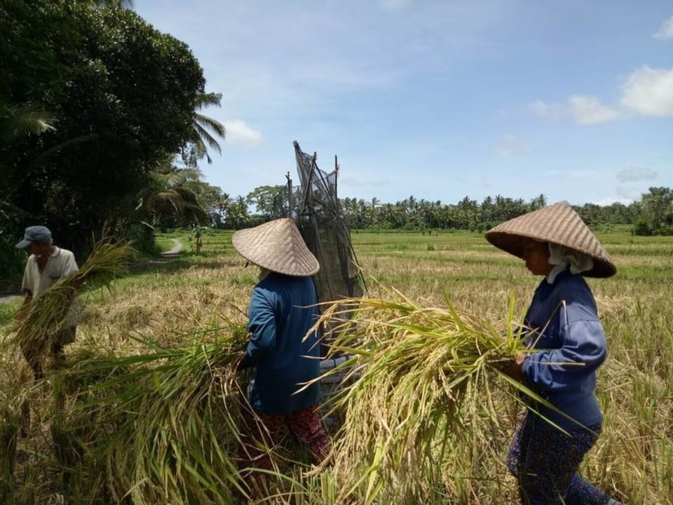 Local Activity nearby