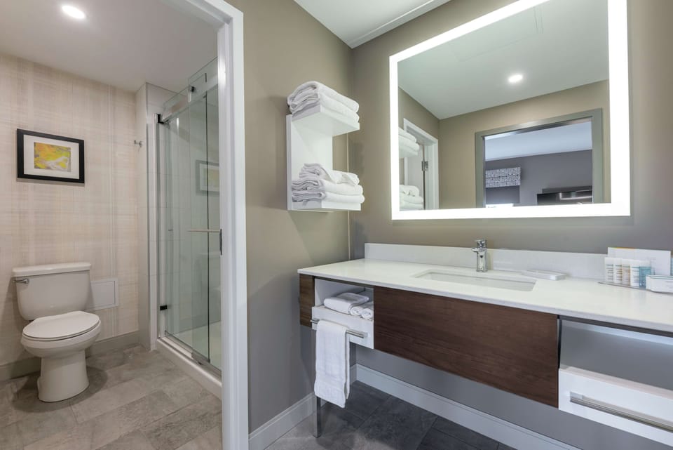 Studio Suite, 1 King Bed | Bathroom shower