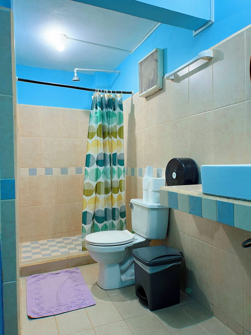 Basic Shared Dormitory, Mixed Dorm, Private Bathroom | Bathroom | Shower