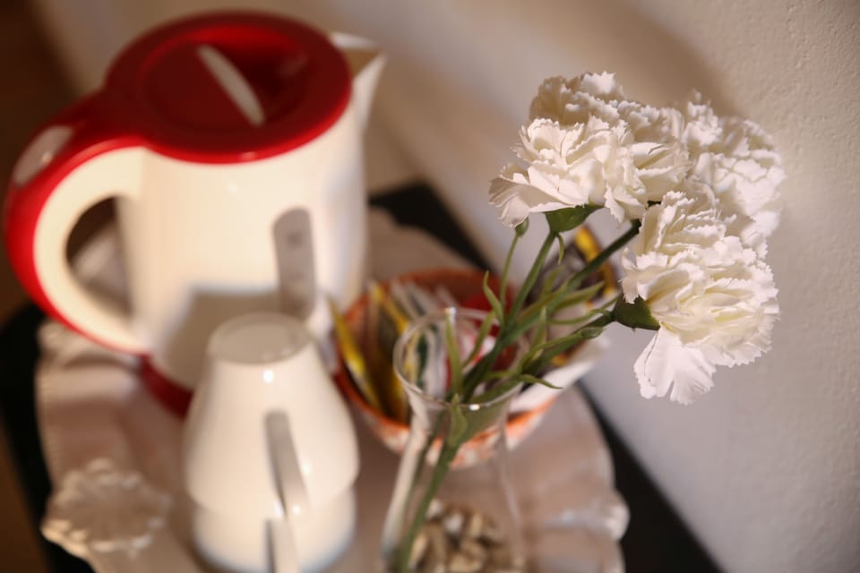 Basic Double Room | Minibar, individually decorated, individually furnished, desk
