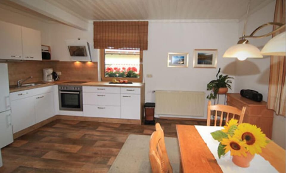 Apartment (ZWERCHECK) | Private kitchen | Full-size fridge, microwave, oven, stovetop