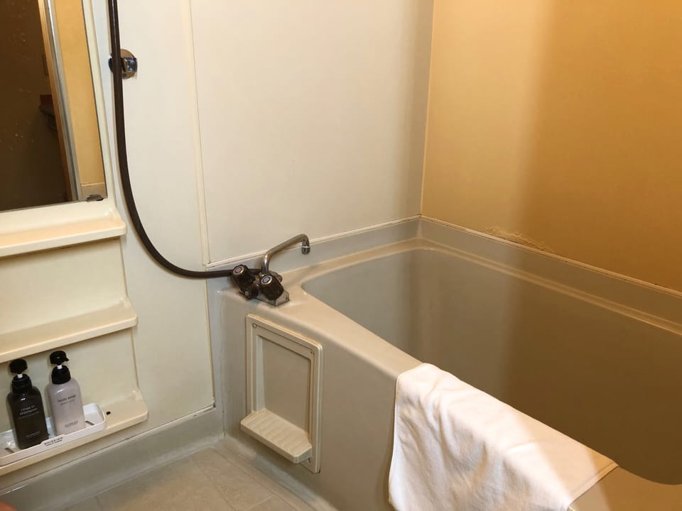 Combined shower/tub, free toiletries, hair dryer, slippers