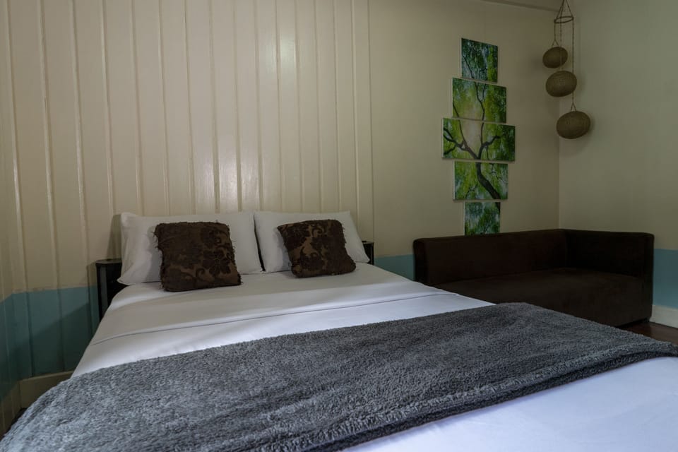 Standard Double Room | Iron/ironing board (on request), WiFi (free), bed sheets