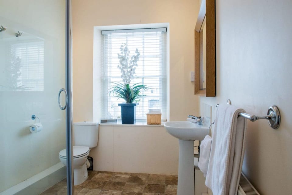 Free toiletries, hair dryer, towels