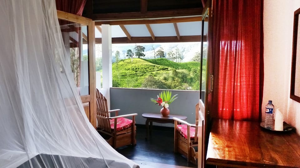 View from room
