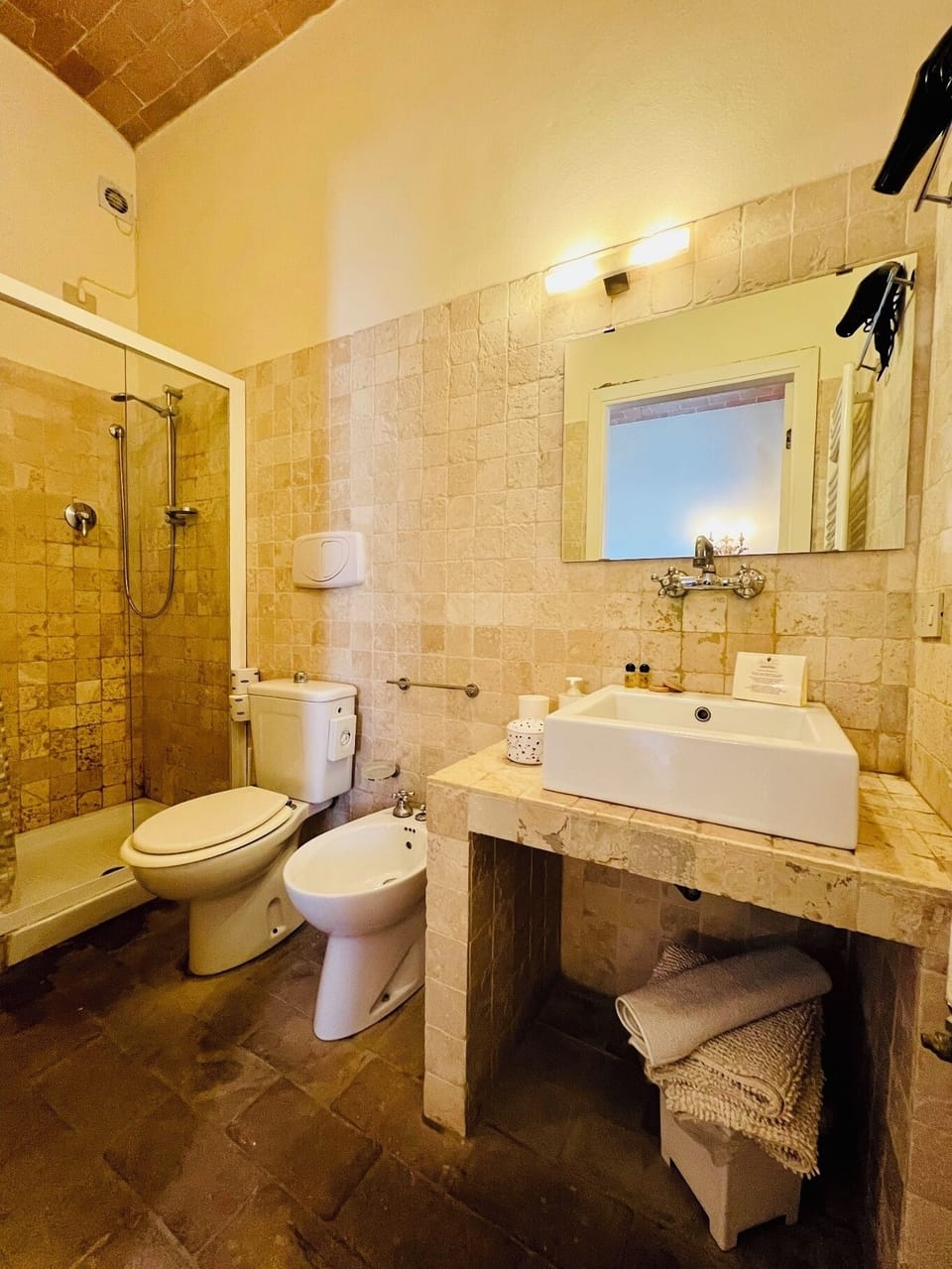 Shower, hair dryer, bidet, towels