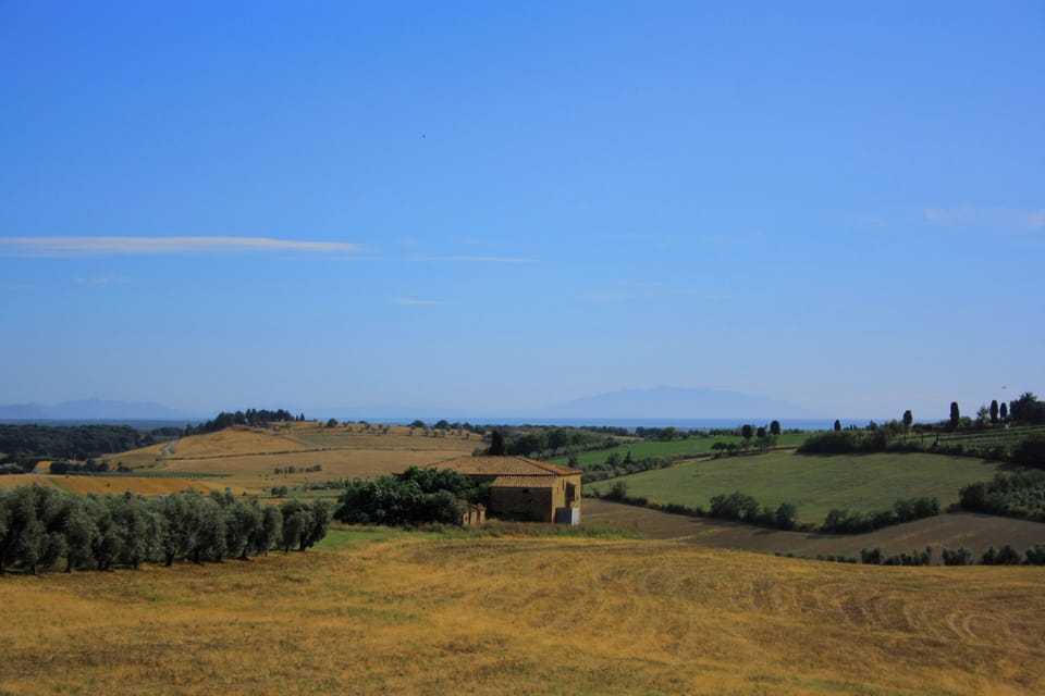 View from room