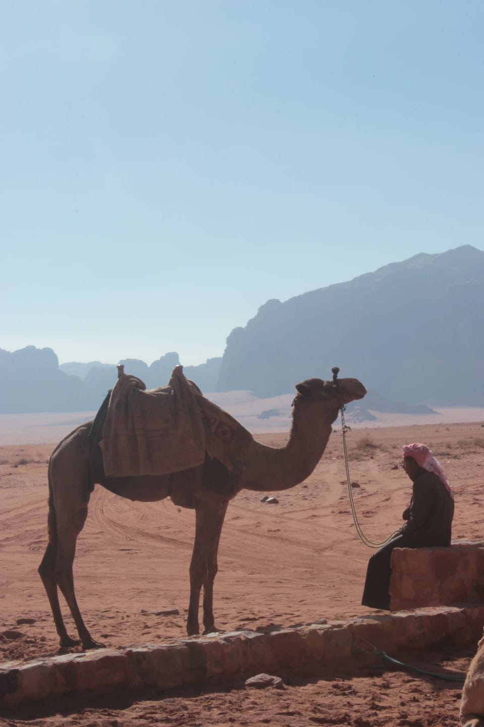 Safari