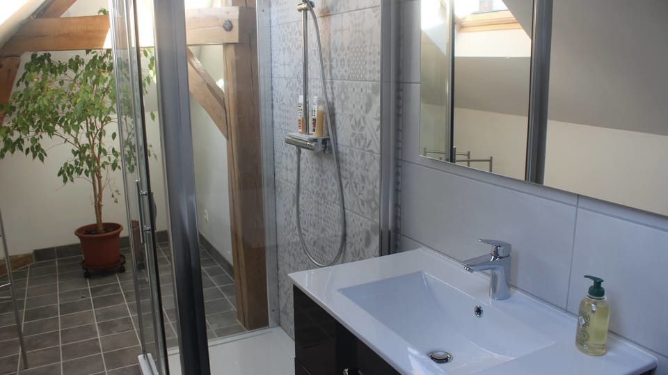 Shower, free toiletries, hair dryer, slippers