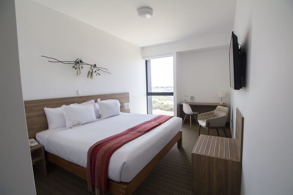 Standard Double Room, 1 King Bed | In-room safe, desk, soundproofing, WiFi (free)
