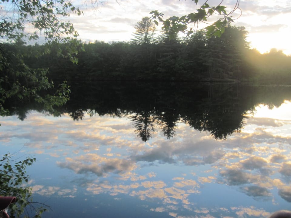 River reflections