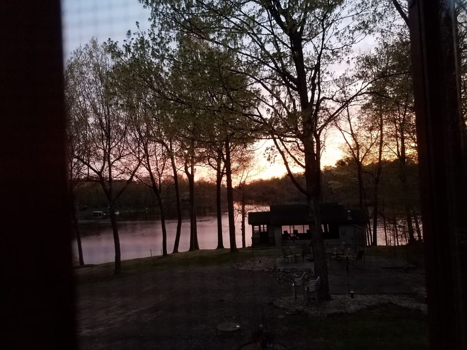 Your morning view