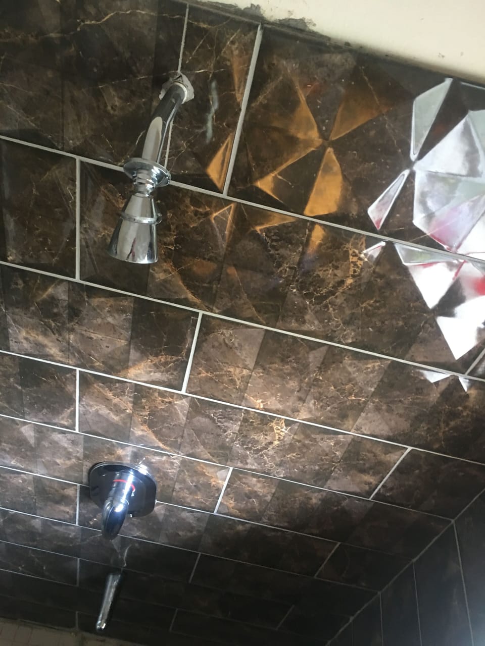 Executive Suite | Bathroom shower