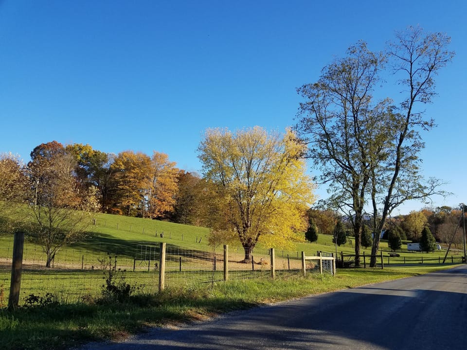 The road next to where you turn into our driveway.  Fall Scene