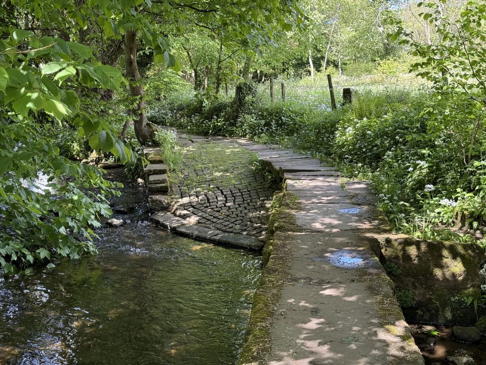 Take a moment to reconnect with nature.