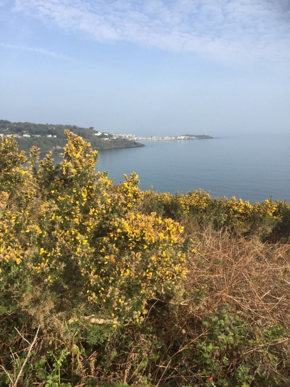 Carbis Bay to St Ives from walk from Azura