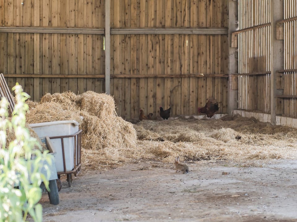 On-site amenities | Shepherd&rsquo;s Cottage, Pett