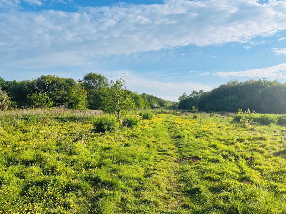Field down pathway from property | Black Pan Holiday Cottage, Lake, near Shanklin