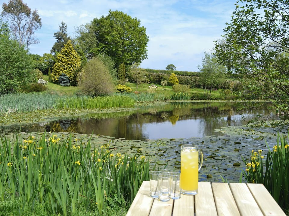 Garden and grounds | The Oak Stall, The Horse Gin - Higher Blagrove Farm Cottages, East Worlington, near South Molton
