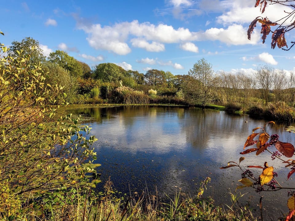 Higher Blagrove lake | Higher Blagrove Farm Cottages, East Worlington, near Crediton