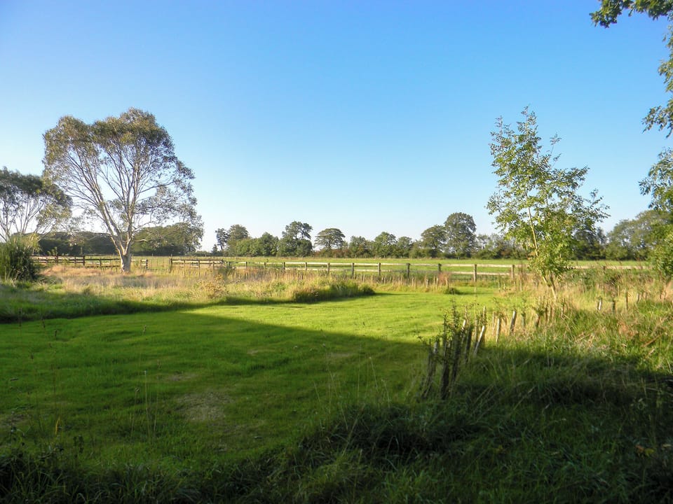 Surrounding area | Lambs Cottage, Blackdown Hills, near Culmstock 