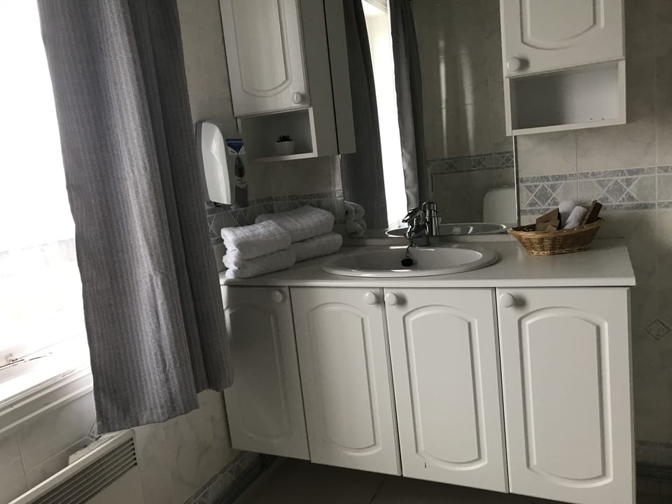Superior Double or Twin Room | Bathroom | Shower, free toiletries, hair dryer, towels