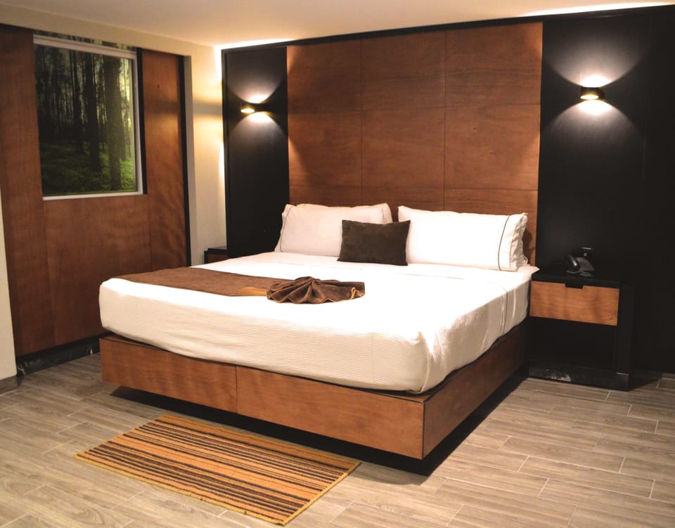 Standard Room, 1 King Bed (No View) | Down comforters, in-room safe, desk, laptop workspace