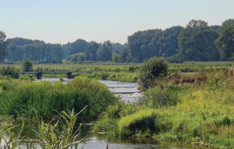 area
