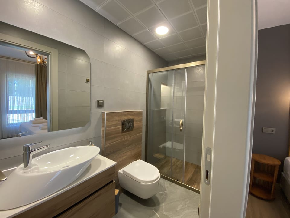 Standard Double Room | Bathroom | Shower, free toiletries, hair dryer, slippers