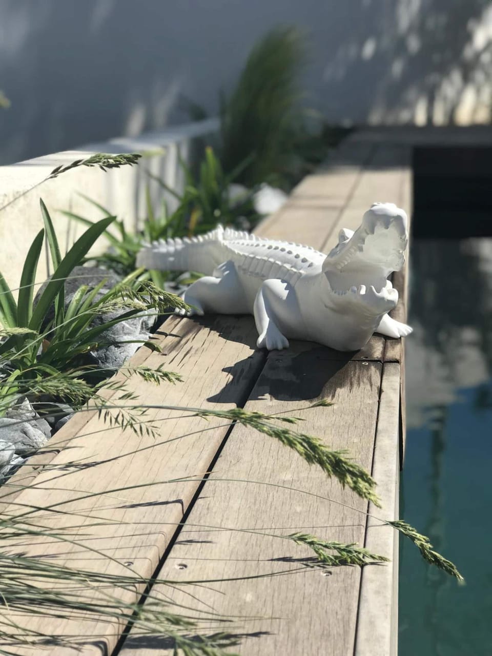 L'Oasis Vendargues Bed and Breakfast in Occitanie