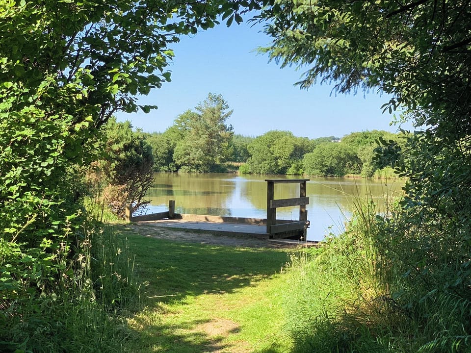 Free carp fishing on this beautiful adjoining 9 acre site is provided with cottage | Birdsong Cottage, Near Woolsery