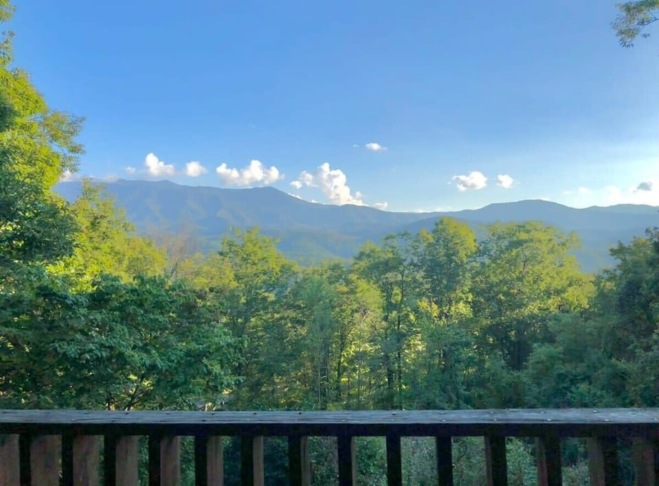 Mt. LeConte Views From Out Of This World Off The Covered Deck!