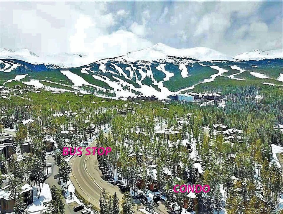 Just 1 bus stop to the Mountain or Downtown!  Or walk in 5-10 minutes.
