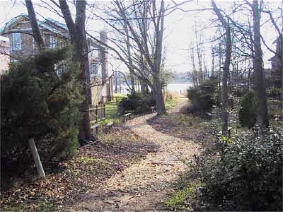 The path to our community crabbing pier on Linden Ave