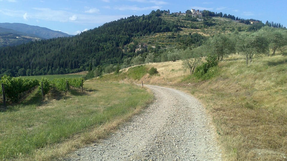1km vineyard road to access the property