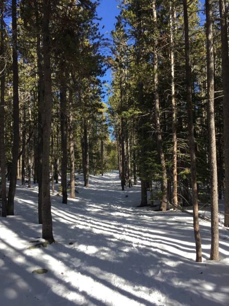 RMNP: Bierstadt Trail in the wintertime.