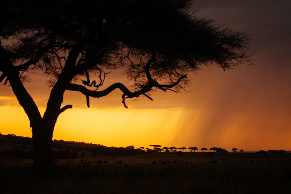 Game viewing