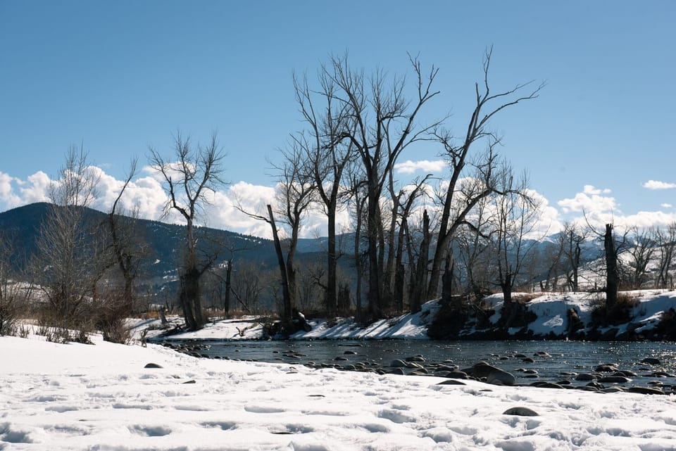 The Gallatin River is less than 1 mile away!
