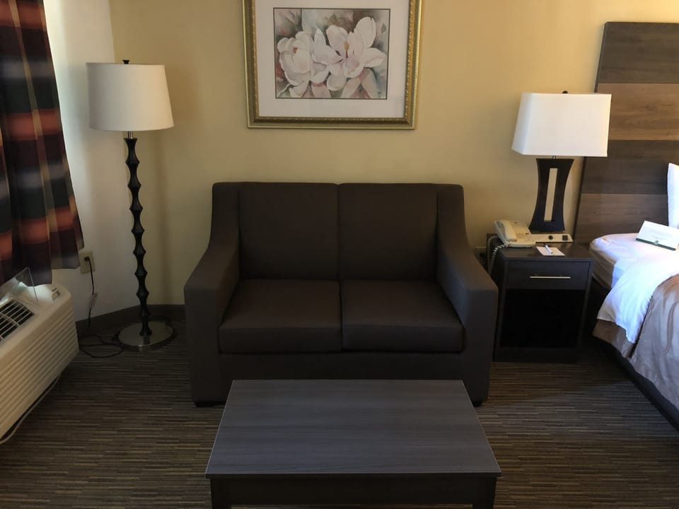Standard Room, 1 King Bed, Non Smoking | Desk, iron/ironing board, cribs (free), rollaway beds (surcharge)
