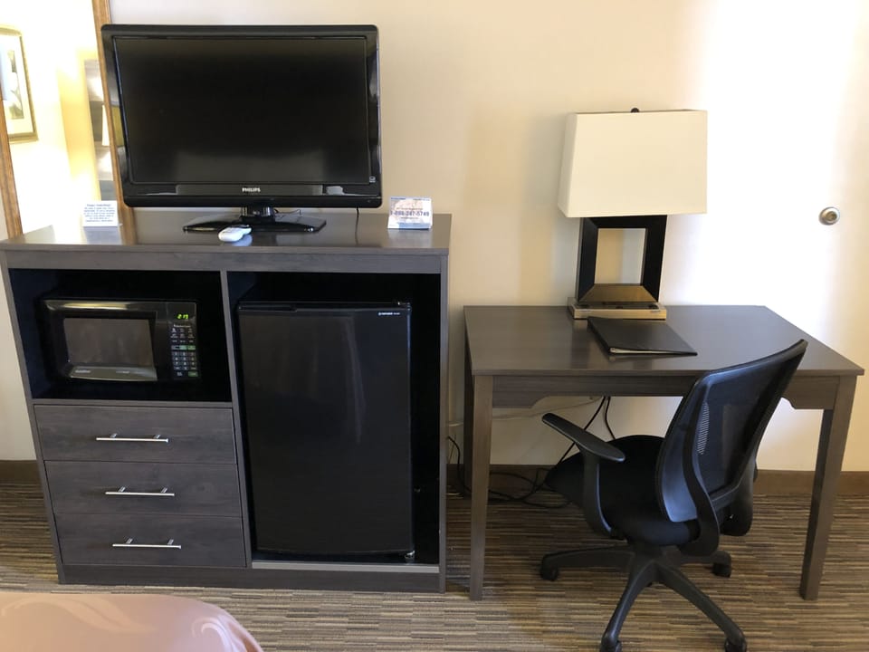 Standard Room, 1 King Bed, Smoking | Desk, iron/ironing board, cribs (free), rollaway beds (surcharge)