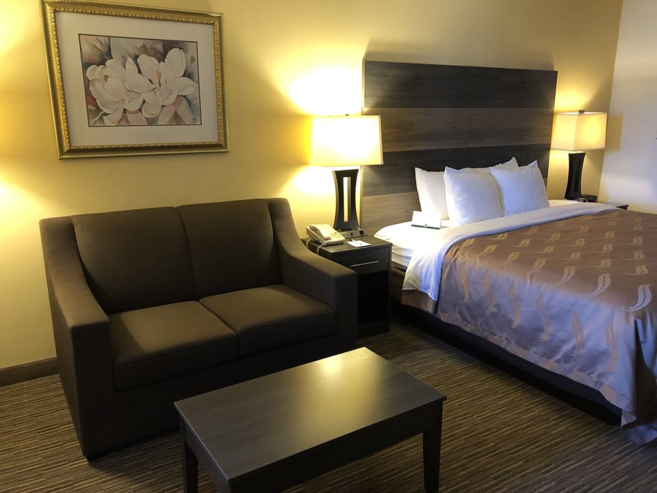 Standard Room, 1 King Bed, Non Smoking | Desk, iron/ironing board, cribs (free), rollaway beds (surcharge)